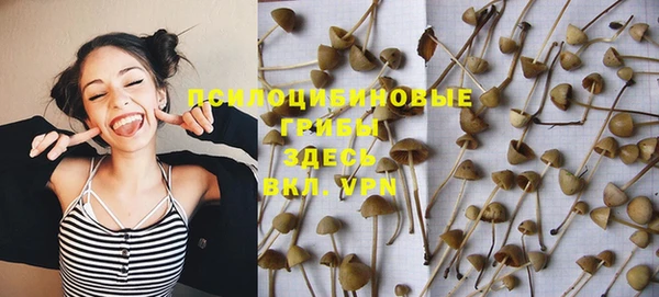 эйфоретик Балахна