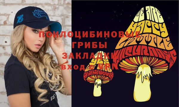шишки Балабаново