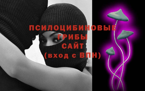 шишки Балабаново