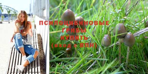 амф Баксан