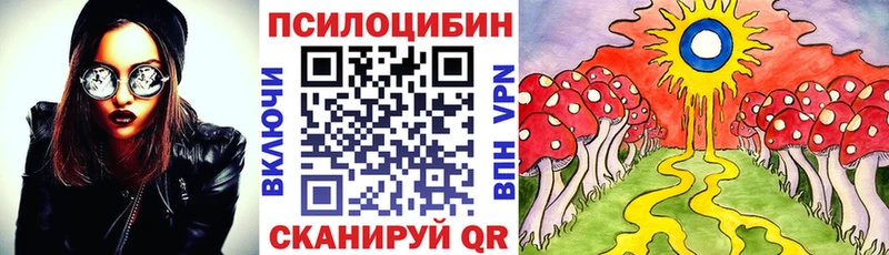 Галлюциногенные грибы Psilocybine cubensis  Покровск 