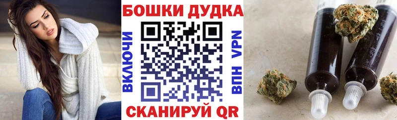 KRAKEN зеркало Покровск Бошки марихуана план